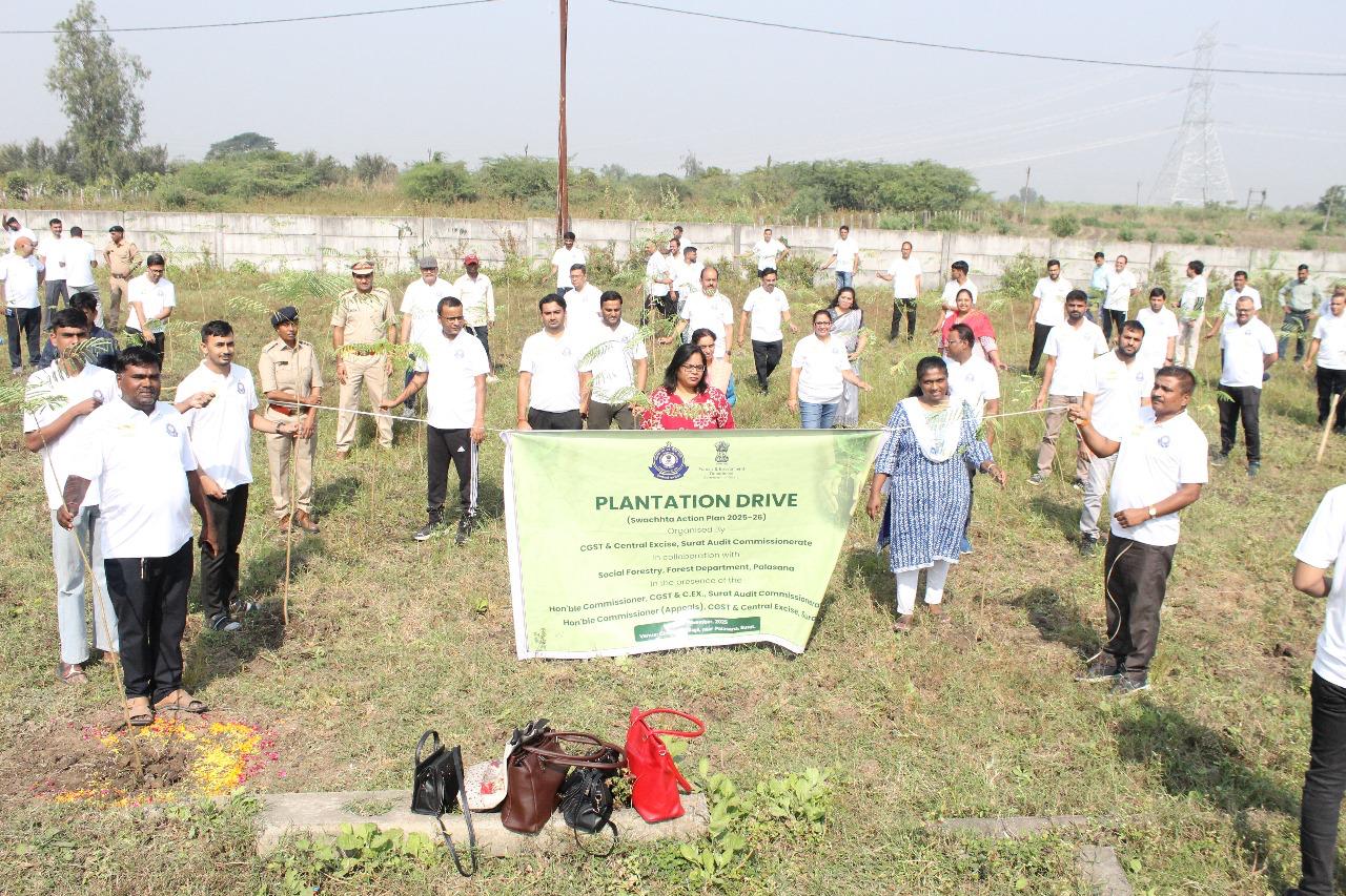 Plantation Drive 2025-26